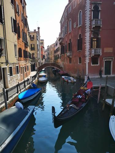 威尼斯运河透明水（威尼斯运河变清）